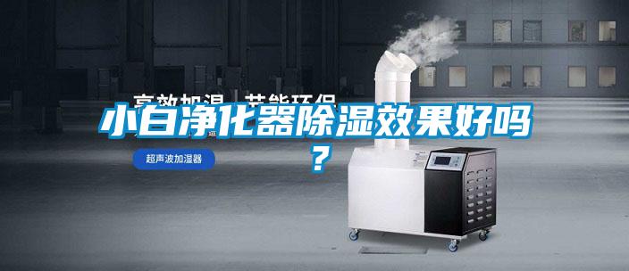 小白凈化器除濕效果好嗎？