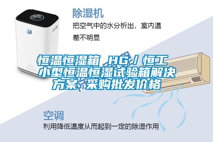 恒溫恒濕箱 HG／恒工 小型恒溫恒濕試驗箱解決方案 采購批發(fā)價格