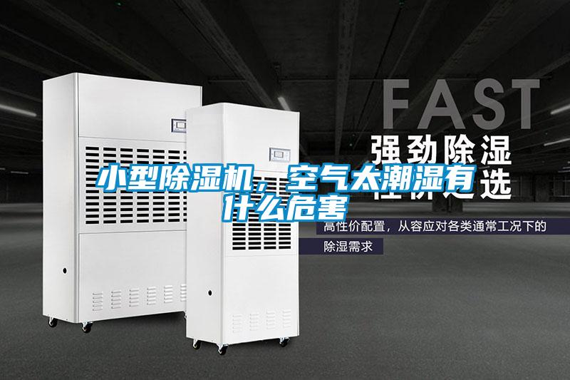 小型除濕機，空氣太潮濕有什么危害