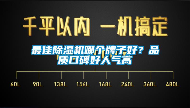 最佳除濕機哪個牌子好？品質(zhì)口碑好人氣高