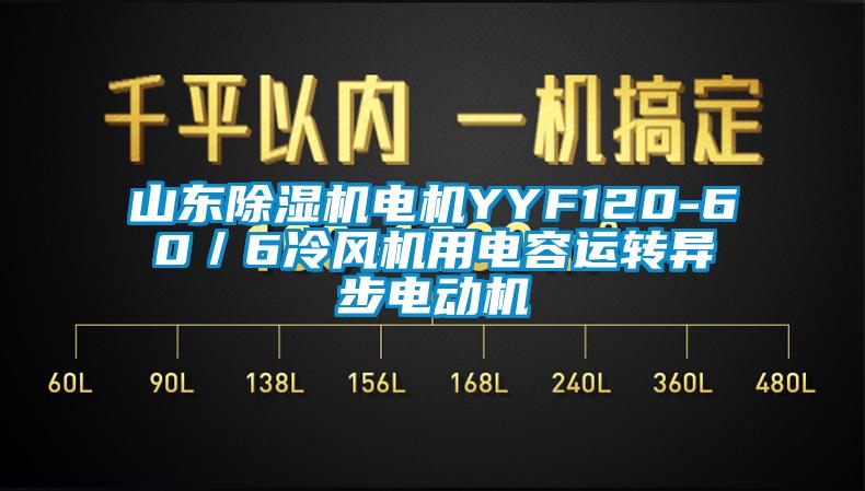 山東除濕機(jī)電機(jī)YYF120-60／6冷風(fēng)機(jī)用電容運(yùn)轉(zhuǎn)異步電動(dòng)機(jī)