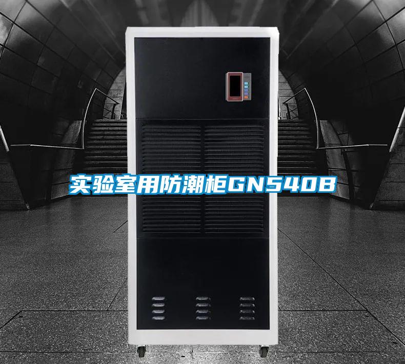 實(shí)驗(yàn)室用防潮柜GN540B