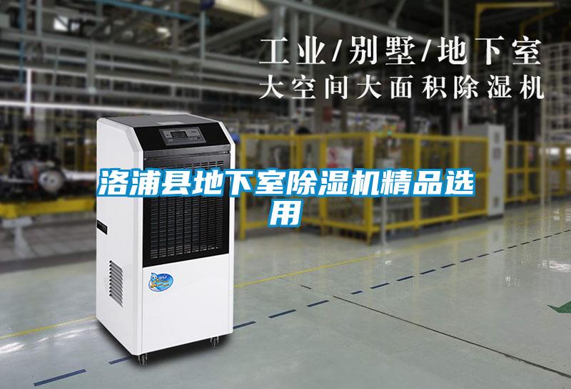 洛浦縣地下室除濕機(jī)精品選用
