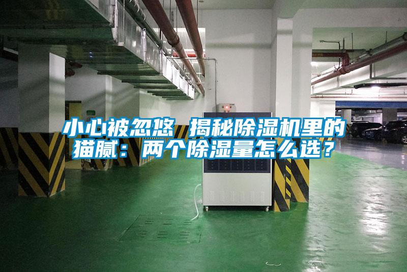 小心被忽悠 揭秘除濕機里的貓膩：兩個除濕量怎么選？