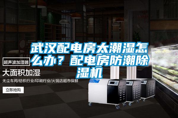 武漢配電房太潮濕怎么辦？配電房防潮除濕機(jī)