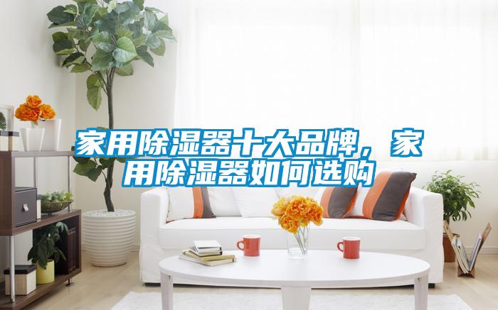 家用除濕器十大品牌，家用除濕器如何選購