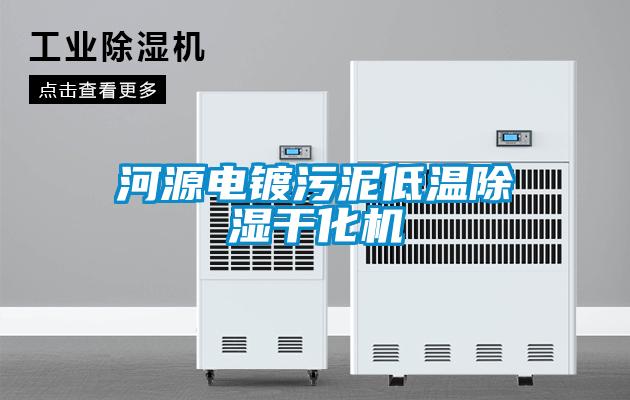 河源電鍍污泥低溫除濕干化機(jī)