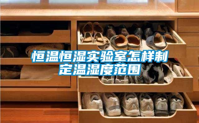 恒溫恒濕實(shí)驗(yàn)室怎樣制定溫濕度范圍