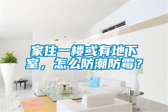 家住一樓或有地下室，怎么防潮防霉？