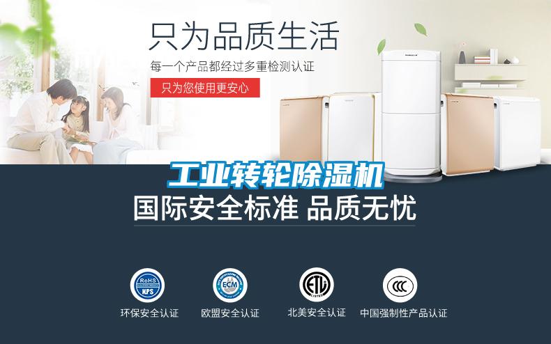 工業(yè)轉(zhuǎn)輪除濕機