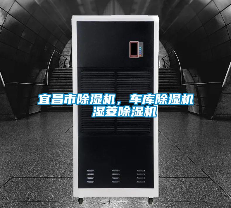 宜昌市除濕機(jī)，車庫除濕機(jī)  濕菱除濕機(jī)