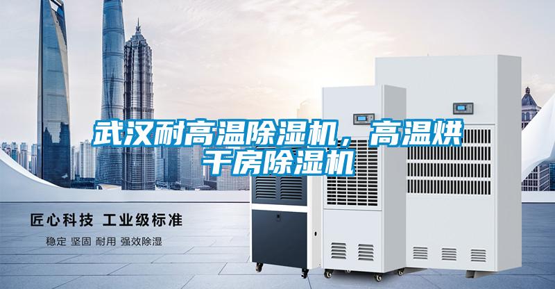 武漢耐高溫除濕機，高溫烘干房除濕機