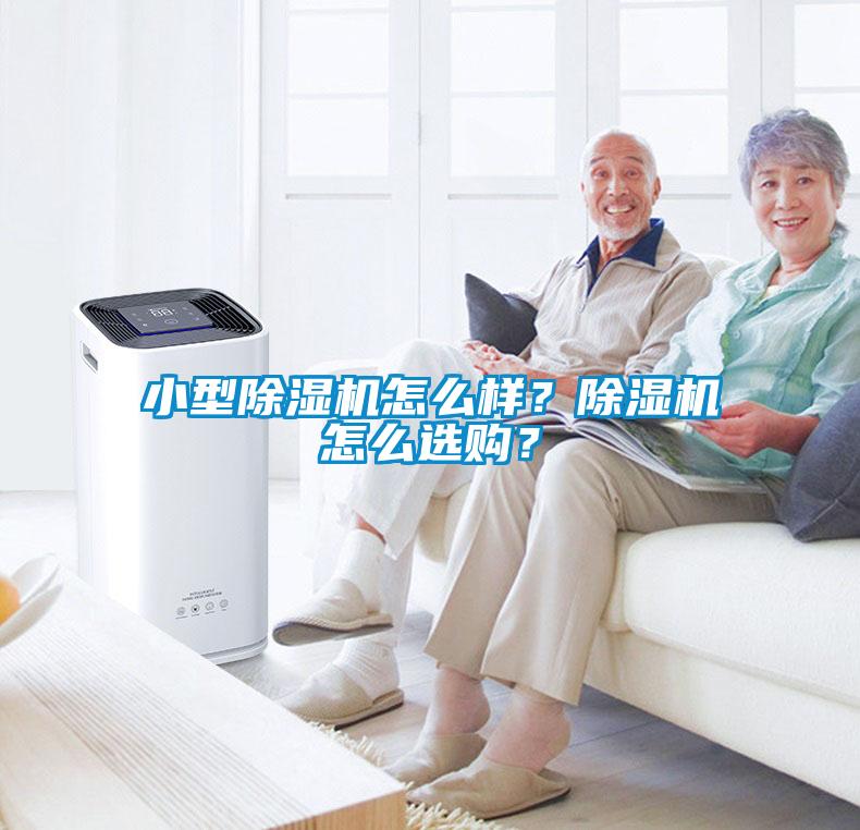 小型除濕機怎么樣？除濕機怎么選購？