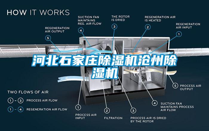 河北石家莊除濕機(jī)滄州除濕機(jī)