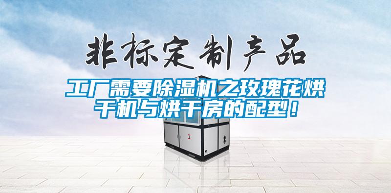 工廠需要除濕機(jī)之玫瑰花烘干機(jī)與烘干房的配型！