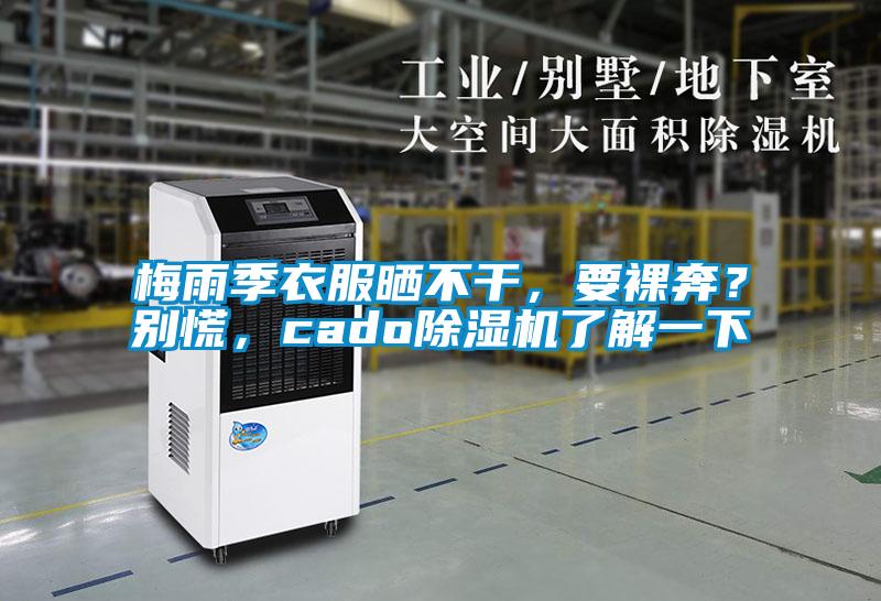 梅雨季衣服曬不干，要裸奔？別慌，cado除濕機了解一下