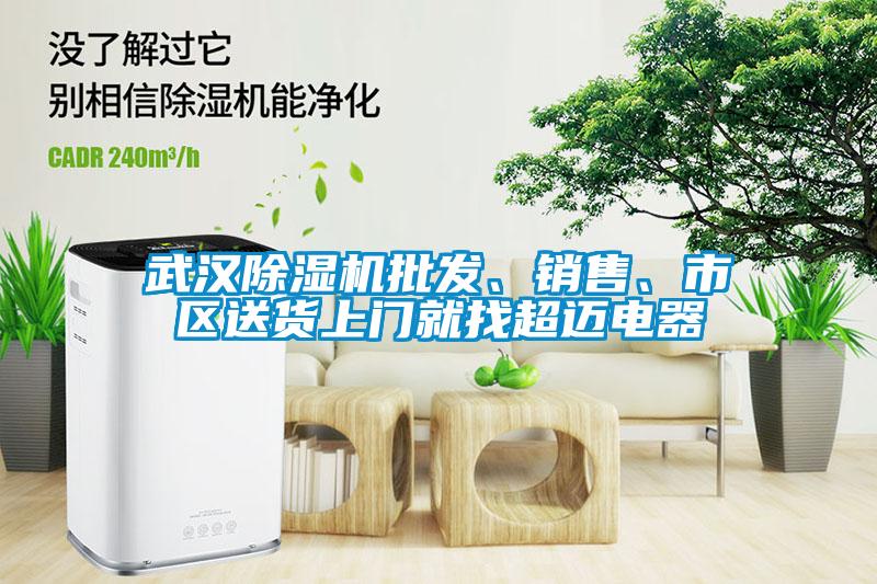 武漢除濕機(jī)批發(fā)、銷售、市區(qū)送貨上門就找超邁電器