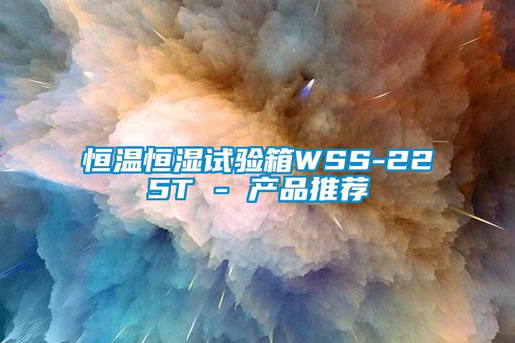 恒溫恒濕試驗(yàn)箱WSS-225T - 產(chǎn)品推薦
