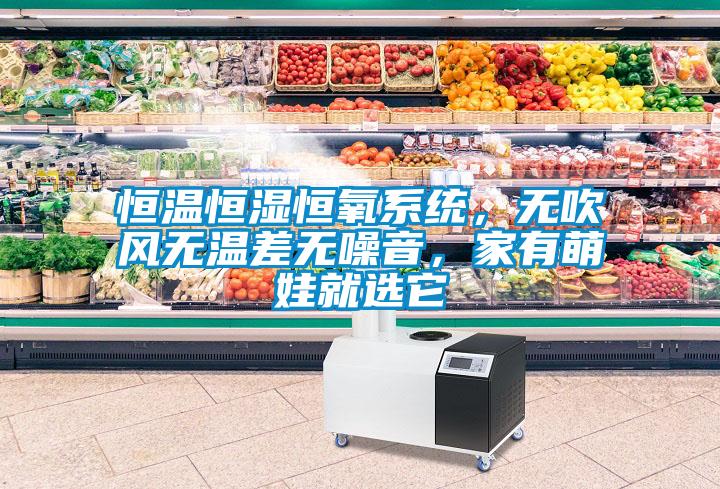 恒溫恒濕恒氧系統(tǒng)，無吹風(fēng)無溫差無噪音，家有萌娃就選它