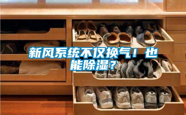 新風(fēng)系統(tǒng)不僅換氣！也能除濕？