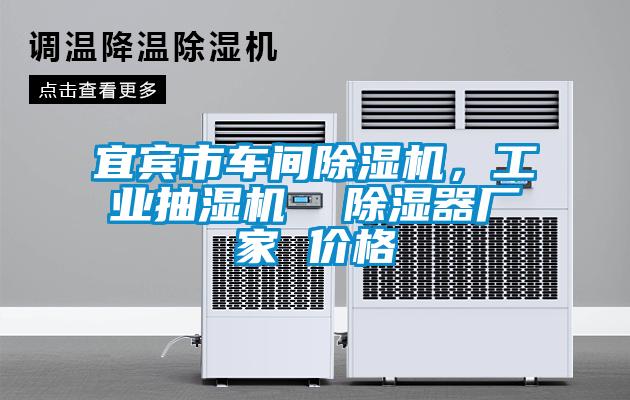 宜賓市車間除濕機(jī)，工業(yè)抽濕機(jī)  除濕器廠家 價(jià)格