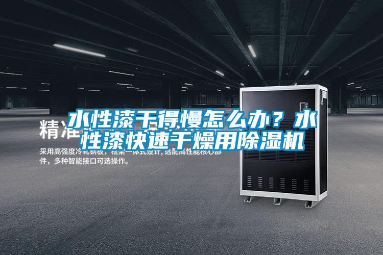 水性漆干得慢怎么辦？水性漆快速干燥用除濕機