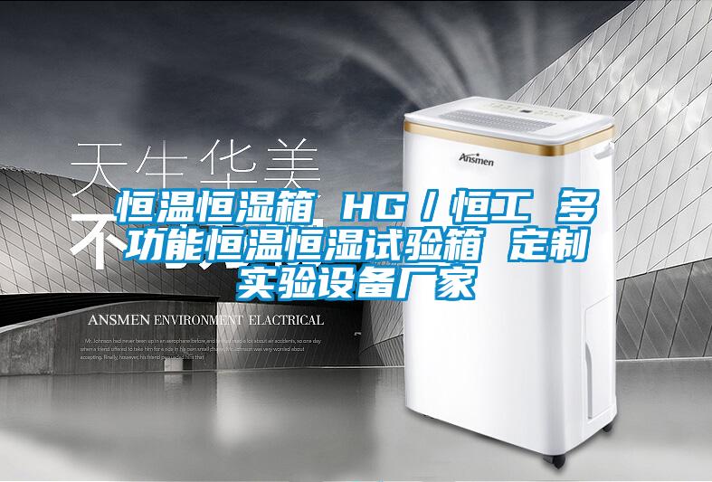 恒溫恒濕箱 HG／恒工 多功能恒溫恒濕試驗箱 定制實驗設(shè)備廠家