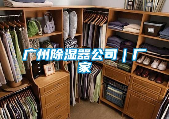 廣州除濕器公司｜廠(chǎng)家