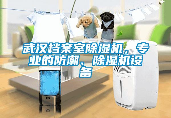 武漢檔案室除濕機，專業(yè)的防潮、除濕機設(shè)備