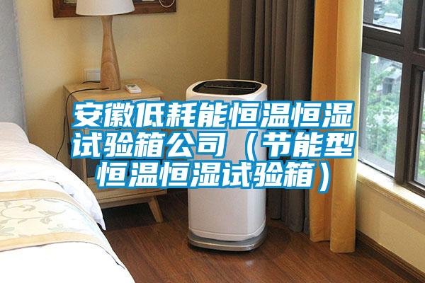 安徽低耗能恒溫恒濕試驗(yàn)箱公司（節(jié)能型恒溫恒濕試驗(yàn)箱）