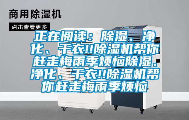 正在閱讀：除濕、凈化、干衣!!除濕機幫你趕走梅雨季煩惱除濕、凈化、干衣!!除濕機幫你趕走梅雨季煩惱