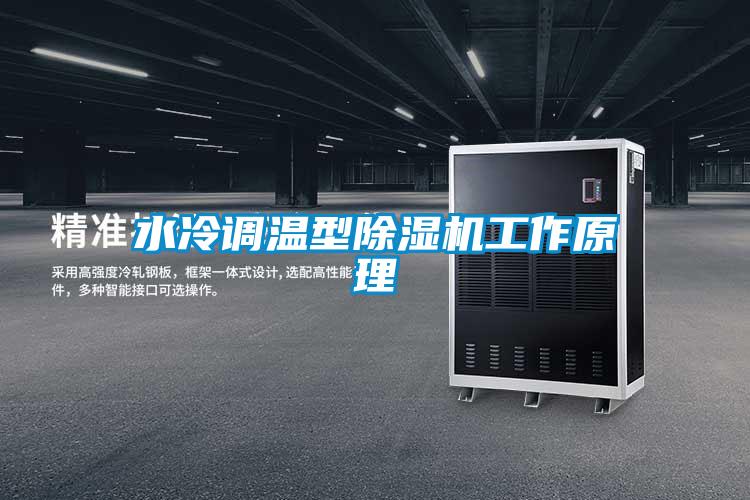 水冷調(diào)溫型除濕機(jī)工作原理