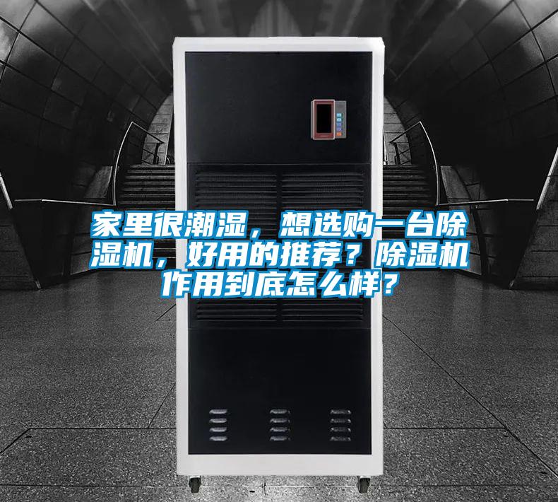 家里很潮濕，想選購(gòu)一臺(tái)除濕機(jī)，好用的推薦？除濕機(jī)作用到底怎么樣？