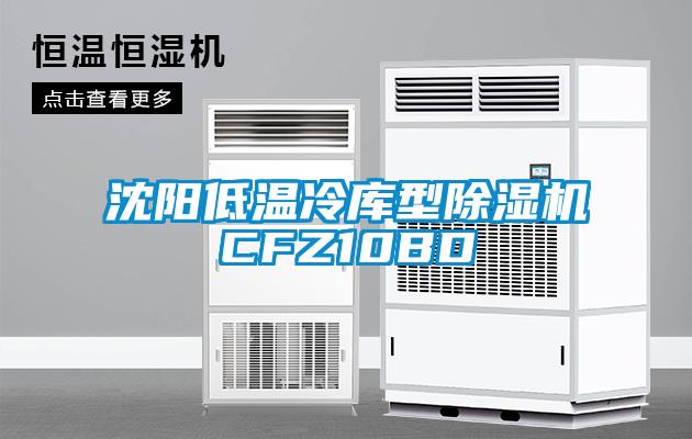 沈陽低溫冷庫型除濕機CFZ10BD