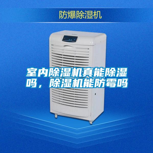室內(nèi)除濕機(jī)真能除濕嗎，除濕機(jī)能防霉嗎