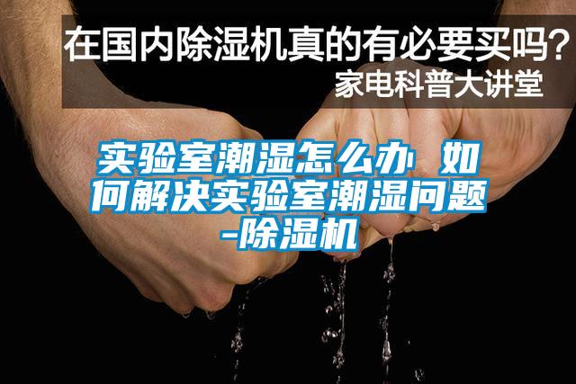 實(shí)驗(yàn)室潮濕怎么辦 如何解決實(shí)驗(yàn)室潮濕問題-除濕機(jī)