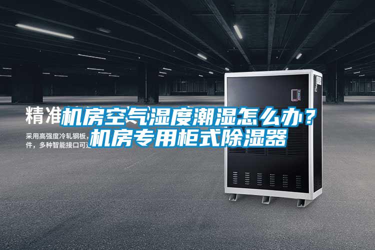機(jī)房空氣濕度潮濕怎么辦？機(jī)房專用柜式除濕器