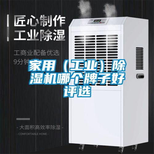 家用（工業(yè)）除濕機(jī)哪個牌子好評選