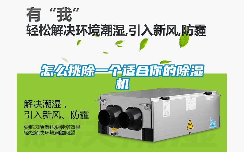 怎么挑除一個適合你的除濕機