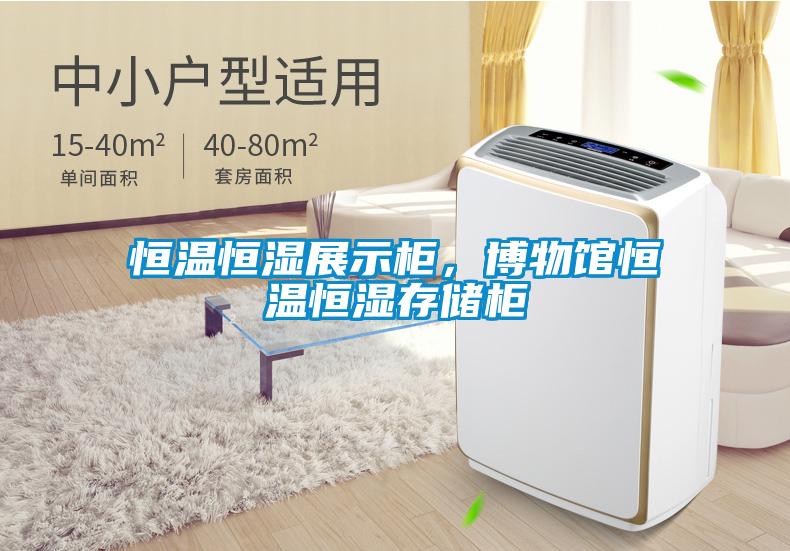 恒溫恒濕展示柜，博物館恒溫恒濕存儲柜