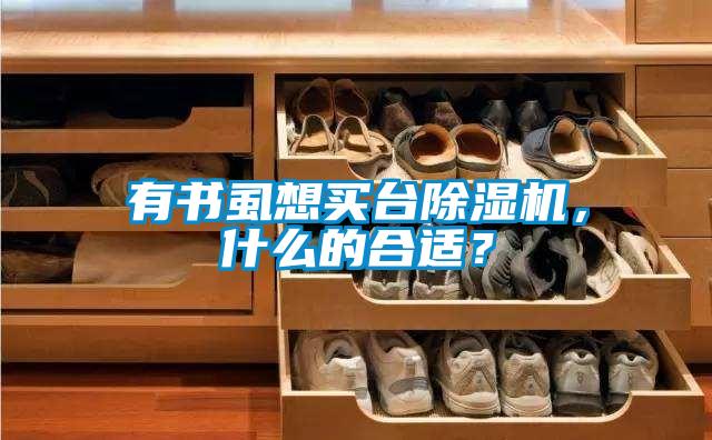 有書虱想買臺除濕機，什么的合適？