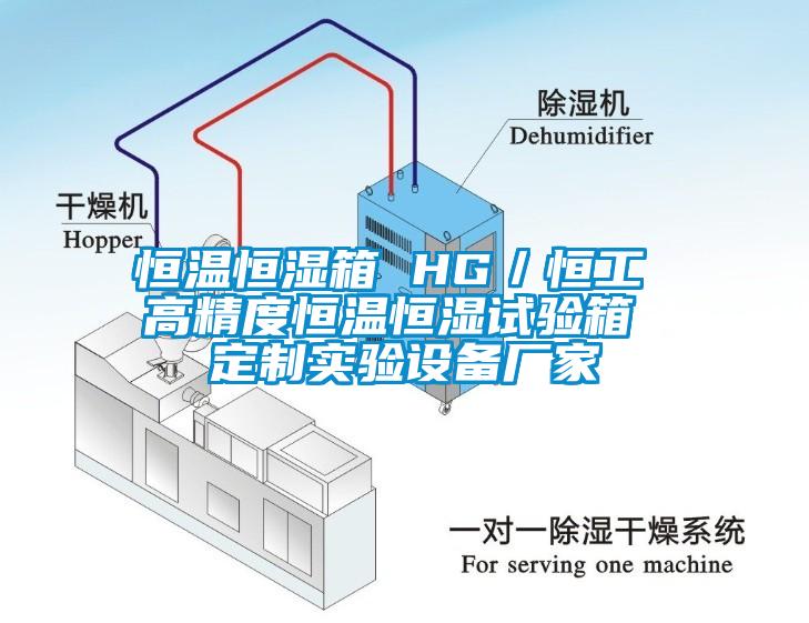 恒溫恒濕箱 HG／恒工 高精度恒溫恒濕試驗(yàn)箱 定制實(shí)驗(yàn)設(shè)備廠(chǎng)家