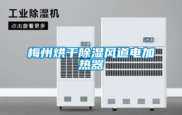 梅州烘干除濕風道電加熱器