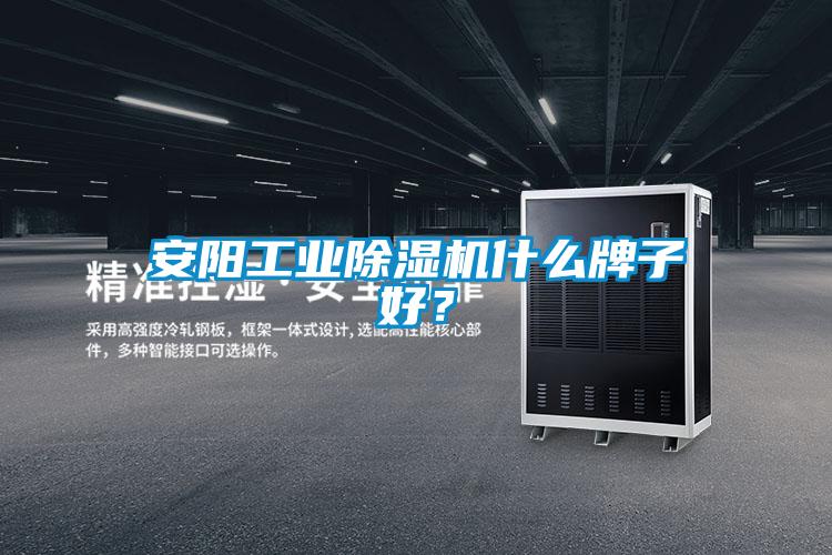 安陽工業(yè)除濕機(jī)什么牌子好？