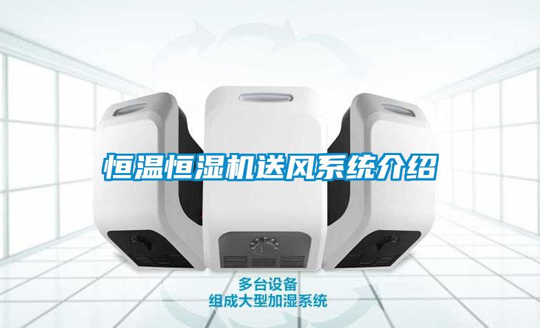 恒溫恒濕機送風(fēng)系統(tǒng)介紹