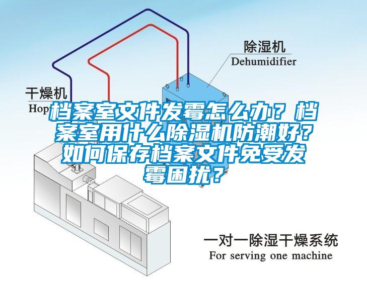檔案室文件發(fā)霉怎么辦？檔案室用什么除濕機防潮好？如何保存檔案文件免受發(fā)霉困擾？