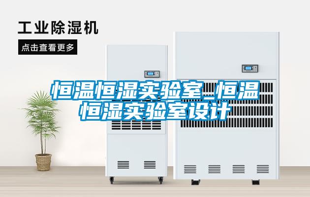 恒溫恒濕實驗室_恒溫恒濕實驗室設(shè)計