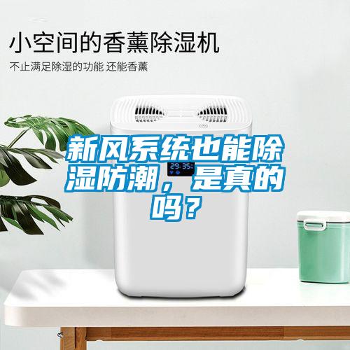 新風(fēng)系統(tǒng)也能除濕防潮，是真的嗎？