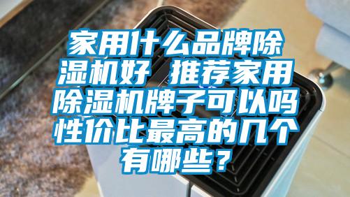 家用什么品牌除濕機(jī)好 推薦家用除濕機(jī)牌子可以嗎性價(jià)比最高的幾個(gè)有哪些？