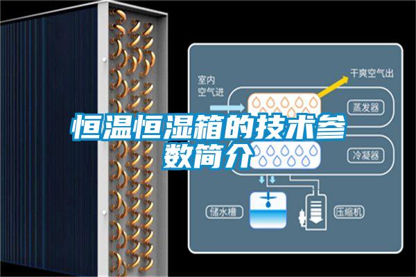 恒溫恒濕箱的技術參數(shù)簡介